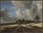 terra di siena