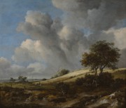 terra di siena